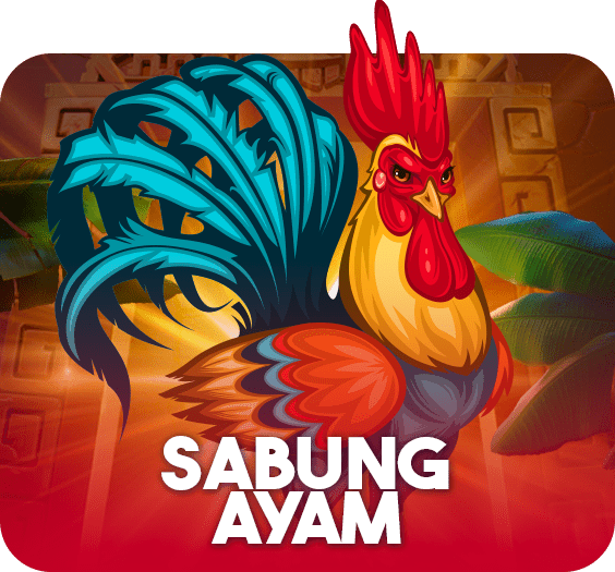 sabung ayam